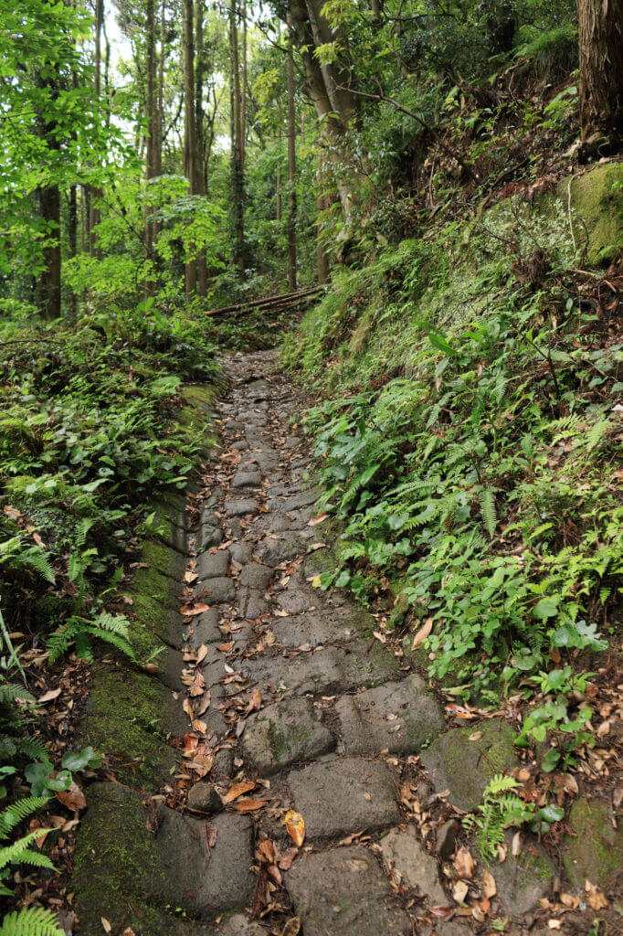 日帰りで行ける千葉の鋸山登山は見所満載 Yamarii Magazine あの山に行きたいを叶える