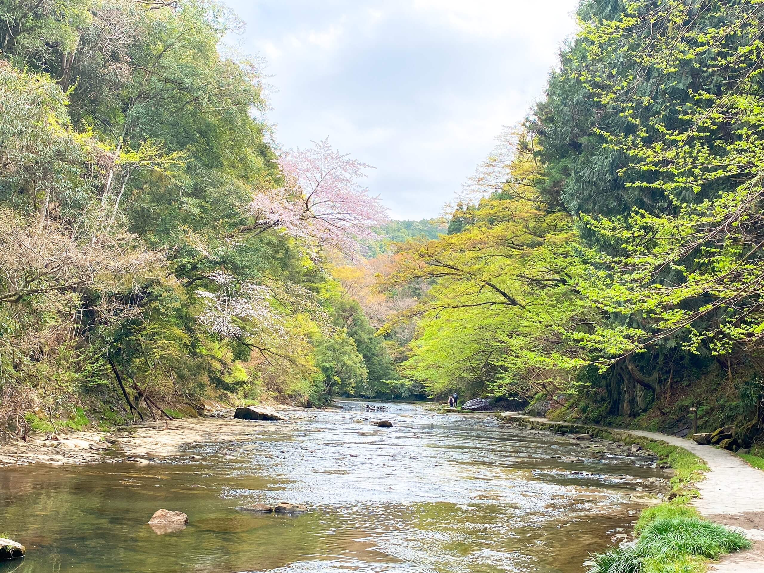 私服で行けるハイキング 登山経験者も一度は行きたい千葉の養老渓谷ハイキングコースを紹介 Yamarii Magazine あの山に行きたいを叶える