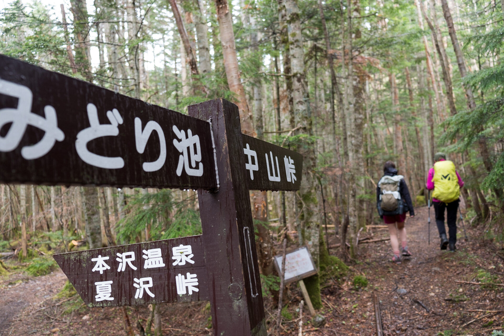 八ヶ岳の人気山小屋しらびそ小屋と黒百合ヒュッテを巡るコース紹介 Yamarii Magazine あの山に行きたいを叶える