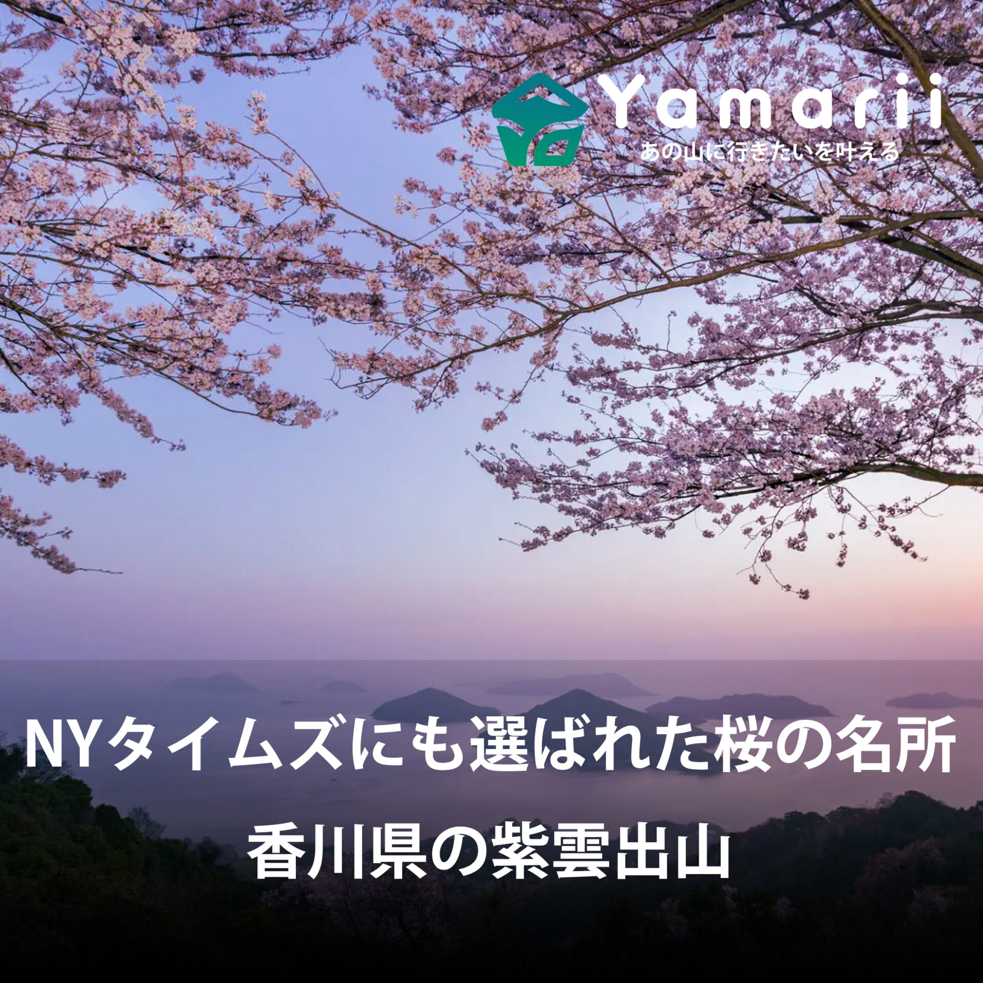 NYタイムズにも選ばれた桜の名所！香川県の紫雲出山から荘内半島花見ハイキング