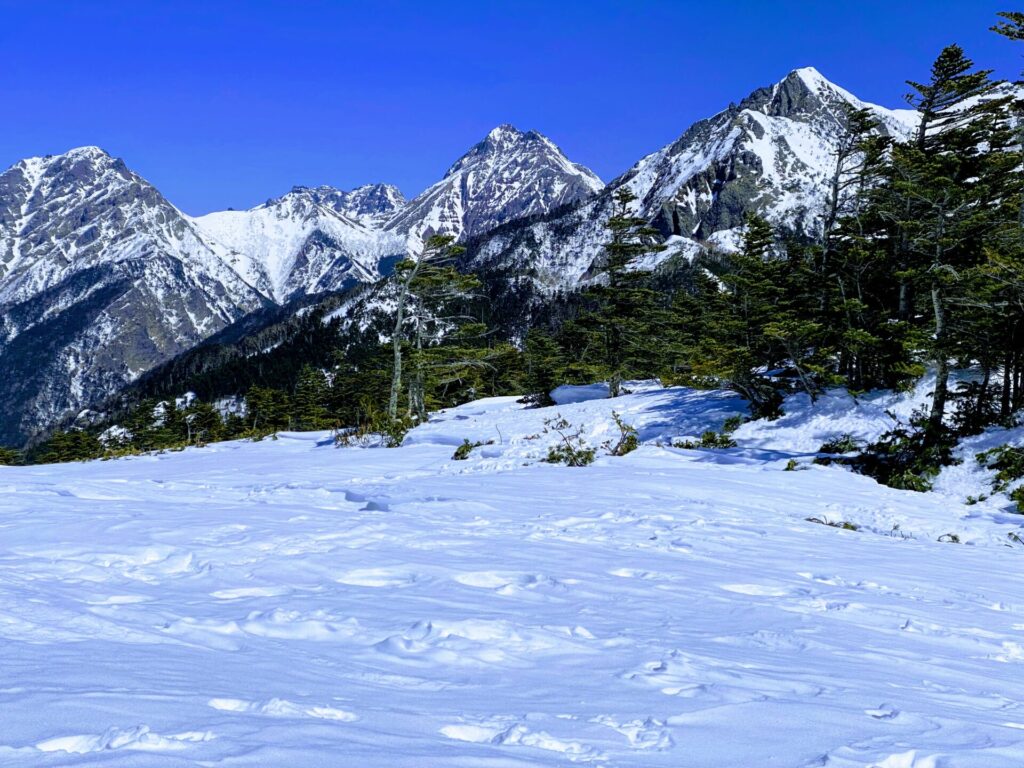 雪山登山 パノラマ広がる八ヶ岳 編笠山への登山レポートとコース紹介 Yamarii Magazine あの山に行きたいを叶える